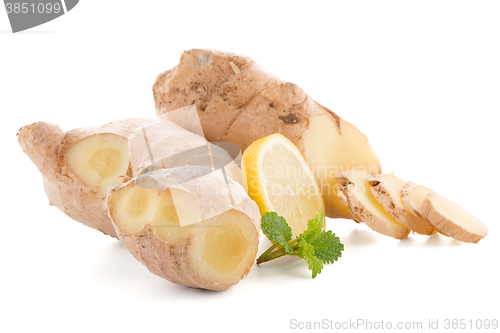 Image of Ginger root on white