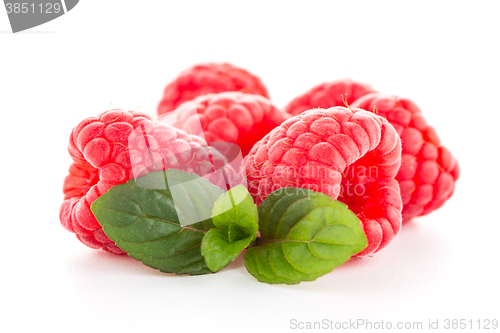 Image of Raspberry fruit isolated