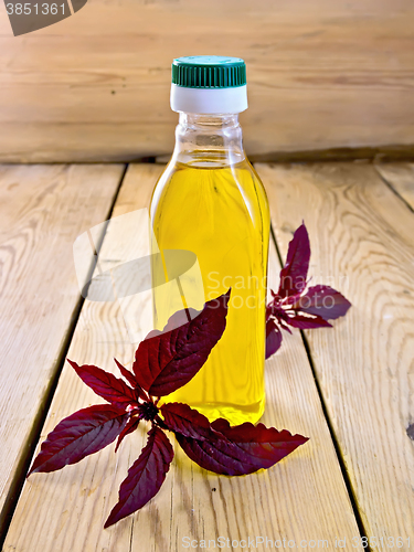 Image of Oil with amaranth in bottle on light board