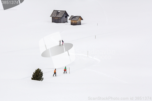 Image of Cross-country skiing langlauf