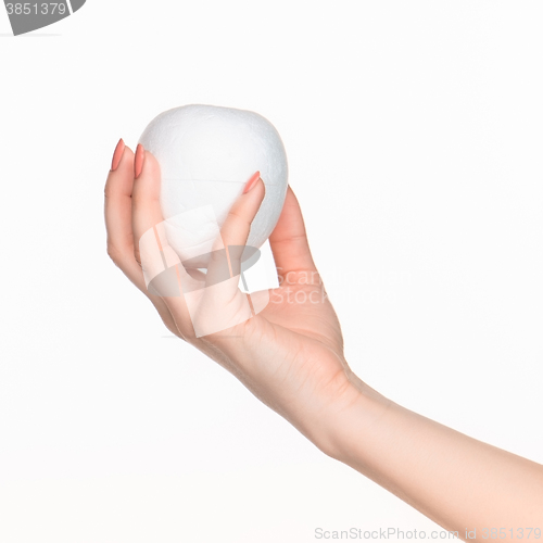 Image of The female hand holding white blank styrofoam oval 