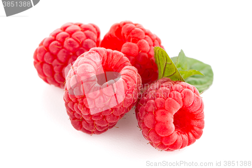 Image of Raspberry fruit isolated