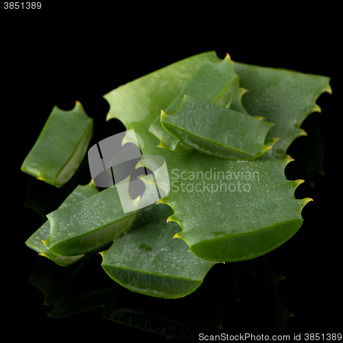 Image of Sliced aloe leaf