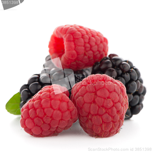 Image of Raspberry with blackberry 