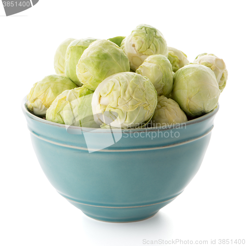 Image of Fresh brussels sprouts