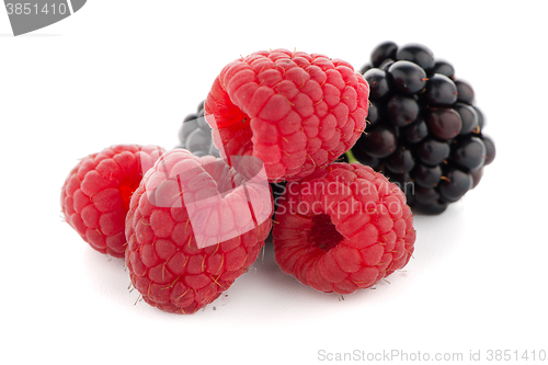 Image of Raspberry with blackberry 