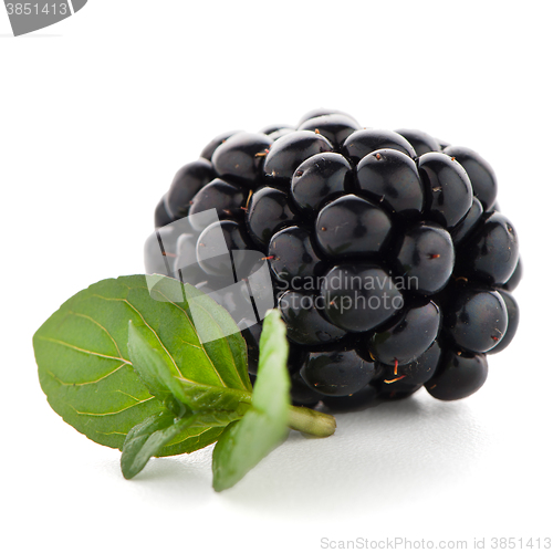 Image of Blackberrie with leaf