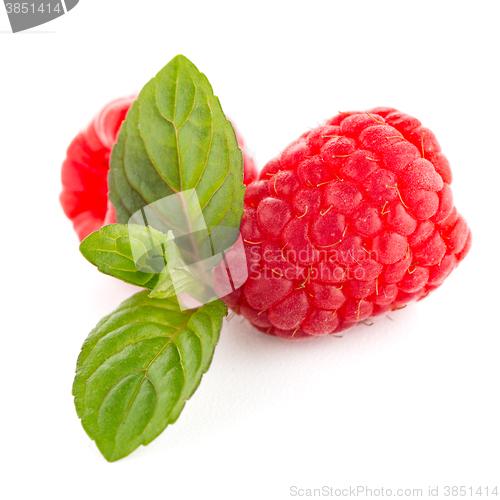 Image of Raspberry fruit isolated