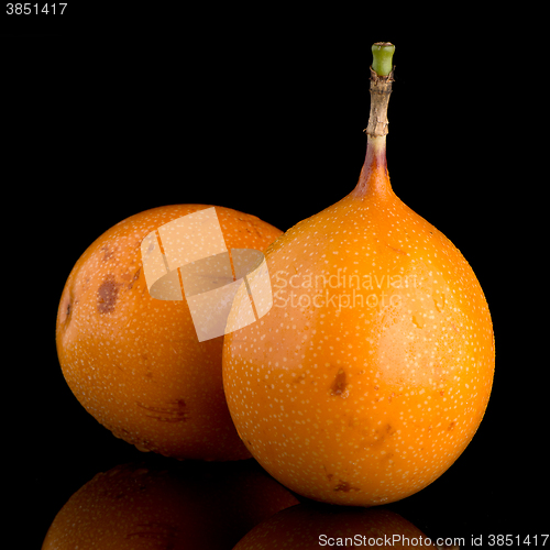 Image of Passion fruit maracuja granadilla