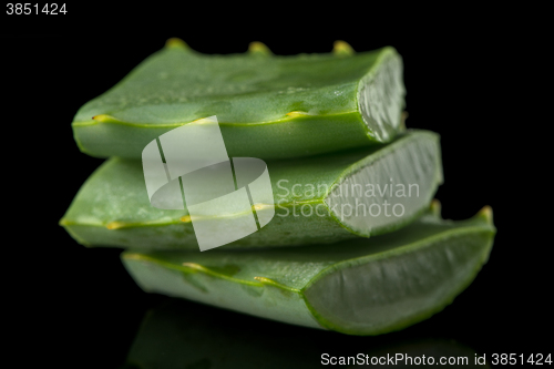 Image of Sliced aloe leaf