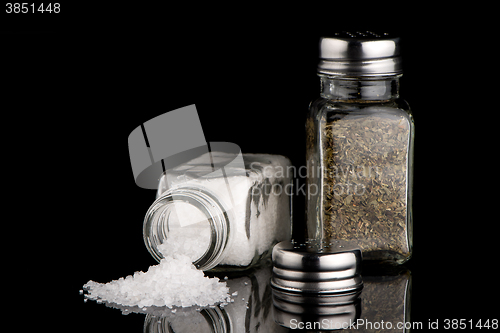 Image of  Salt and oregano shakers