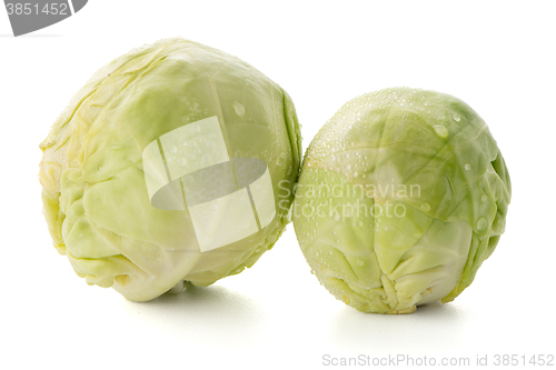 Image of Fresh brussels sprouts