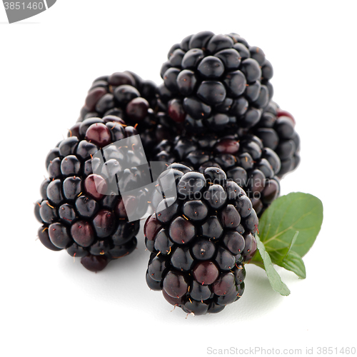 Image of Blackberries with leaves