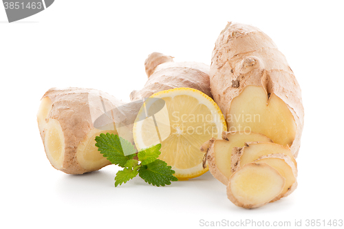 Image of Ginger root on white