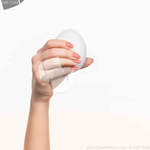 Image of The female hand holding white blank styrofoam oval 