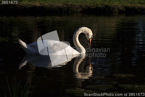 Image of mirror