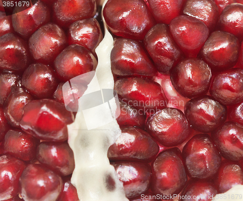 Image of ripe pomegranate background