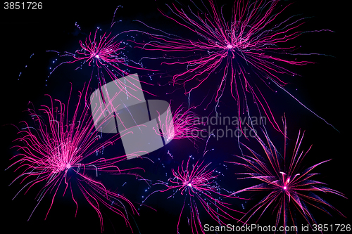 Image of Violet fireworks on black background