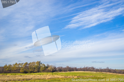 Image of Denmark landscape with fields and trees