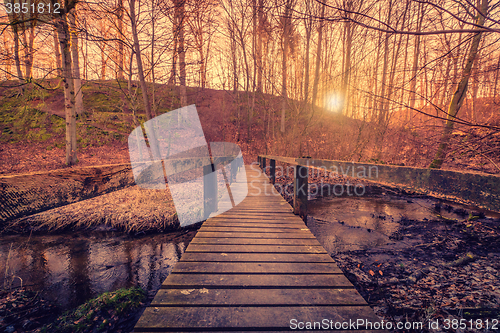 Image of Forest bridge in the sunrise