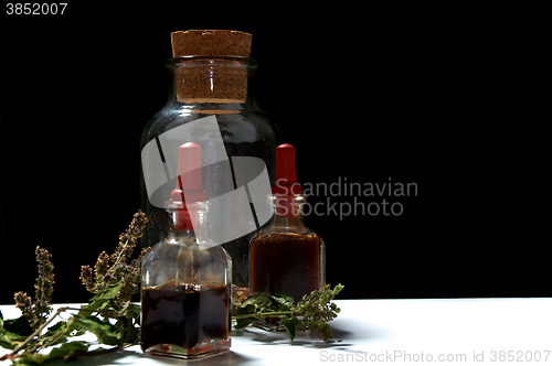 Image of three glass bottles with herbal extracts and dried herbs at eye 