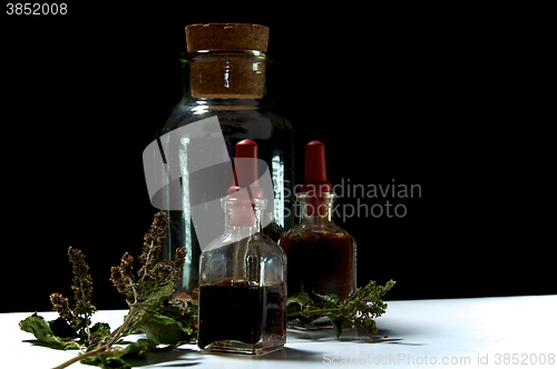 Image of three glass bottles with herbal extracts and dried herbs close t