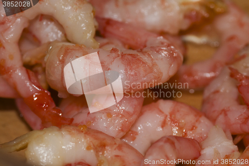 Image of prawns