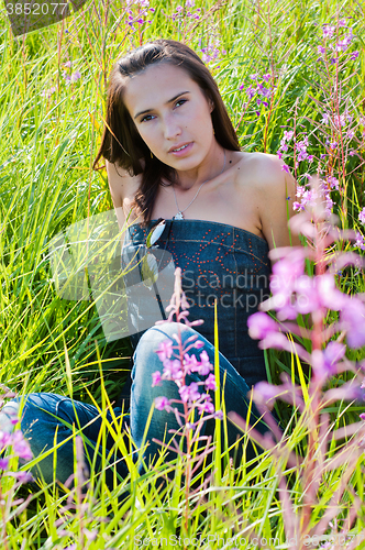 Image of Beautiful brunette woman sitting in field