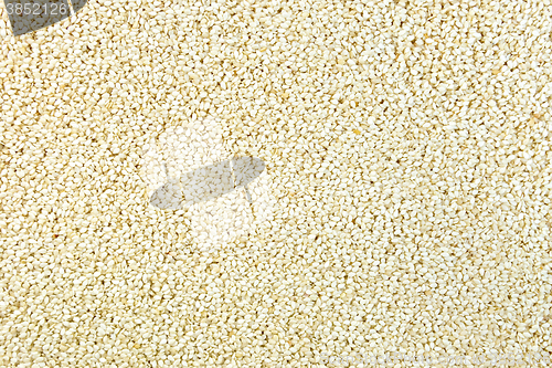 Image of Sesame seeds texture