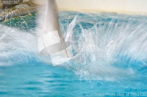 Image of Dolphin blur leaping