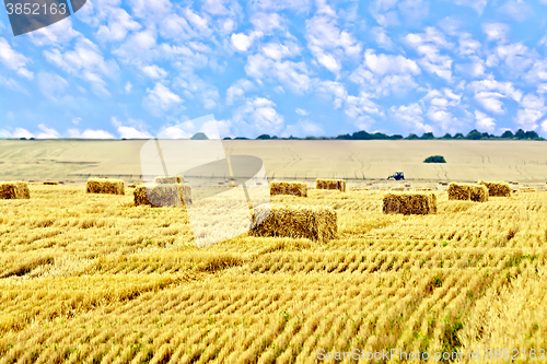 Image of Bales of straw rectangular