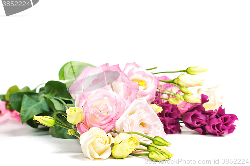 Image of Eustoma flowers on light background