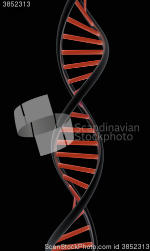 Image of DNA structure model