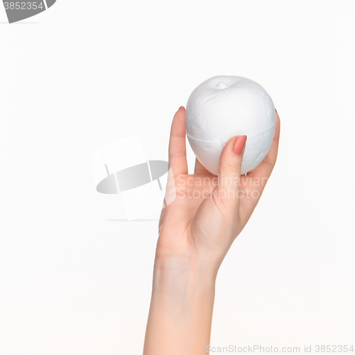 Image of The female hand holding white blank styrofoam oval 