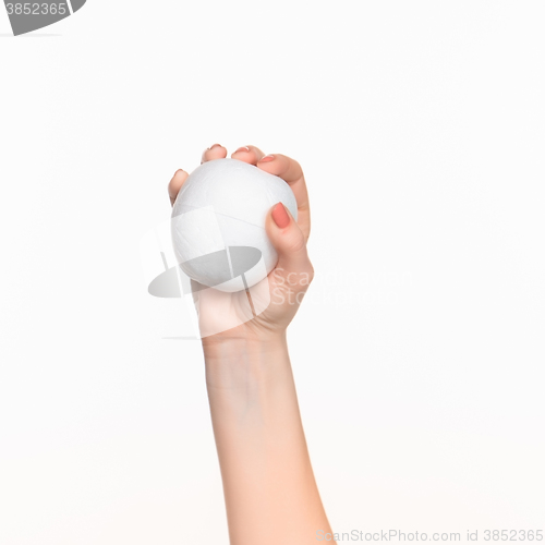 Image of The female hand holding white blank styrofoam oval 