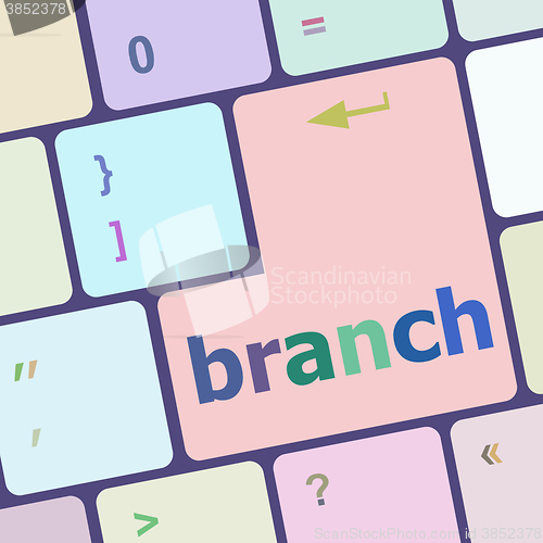 Image of branch word on keyboard key vector illustration