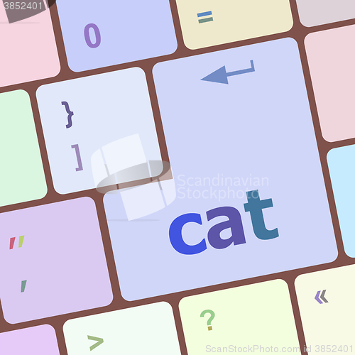 Image of cat word on computer pc keyboard key vector illustration