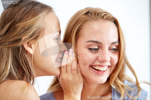 Image of happy young women whispering gossip at home