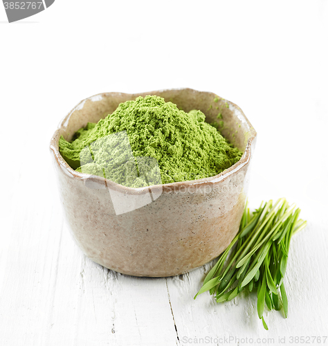 Image of bowl of green wheat grass powder