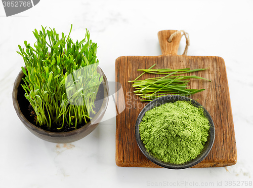 Image of bowl of wheat sprout powder