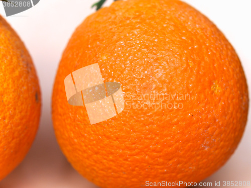 Image of Orange fruit (Citrus)