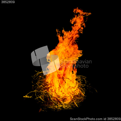 Image of Bonfire in the night