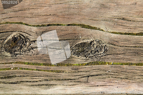 Image of abstract wooden gray texture
