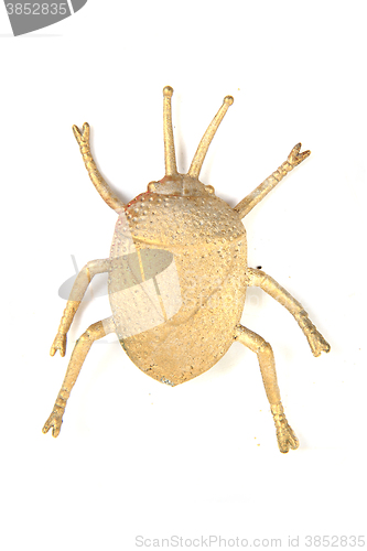 Image of nice golden beetle 