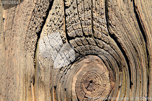 Image of abstract wooden gray texture