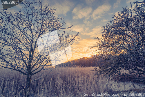 Image of Countryside winter landscape in the sunrise