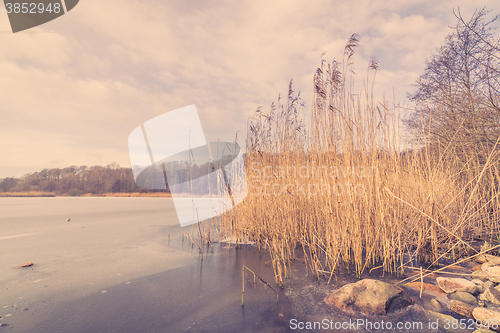 Image of Lake in the winter with reeds