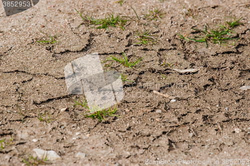Image of Dry soil with green grass