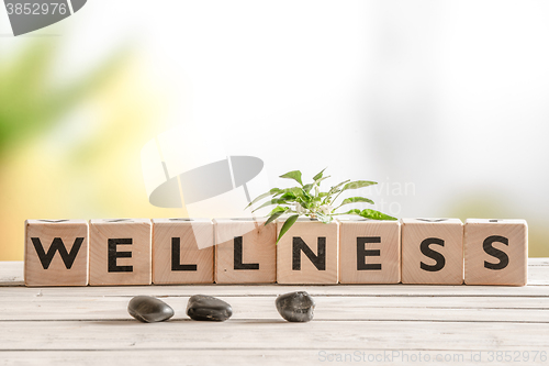 Image of Wellness sign with wooden cubes