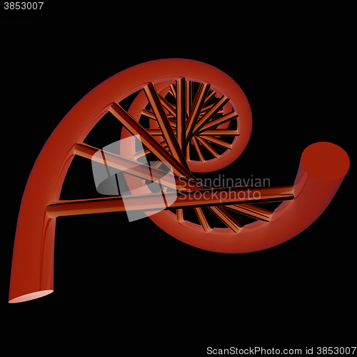 Image of DNA structure model